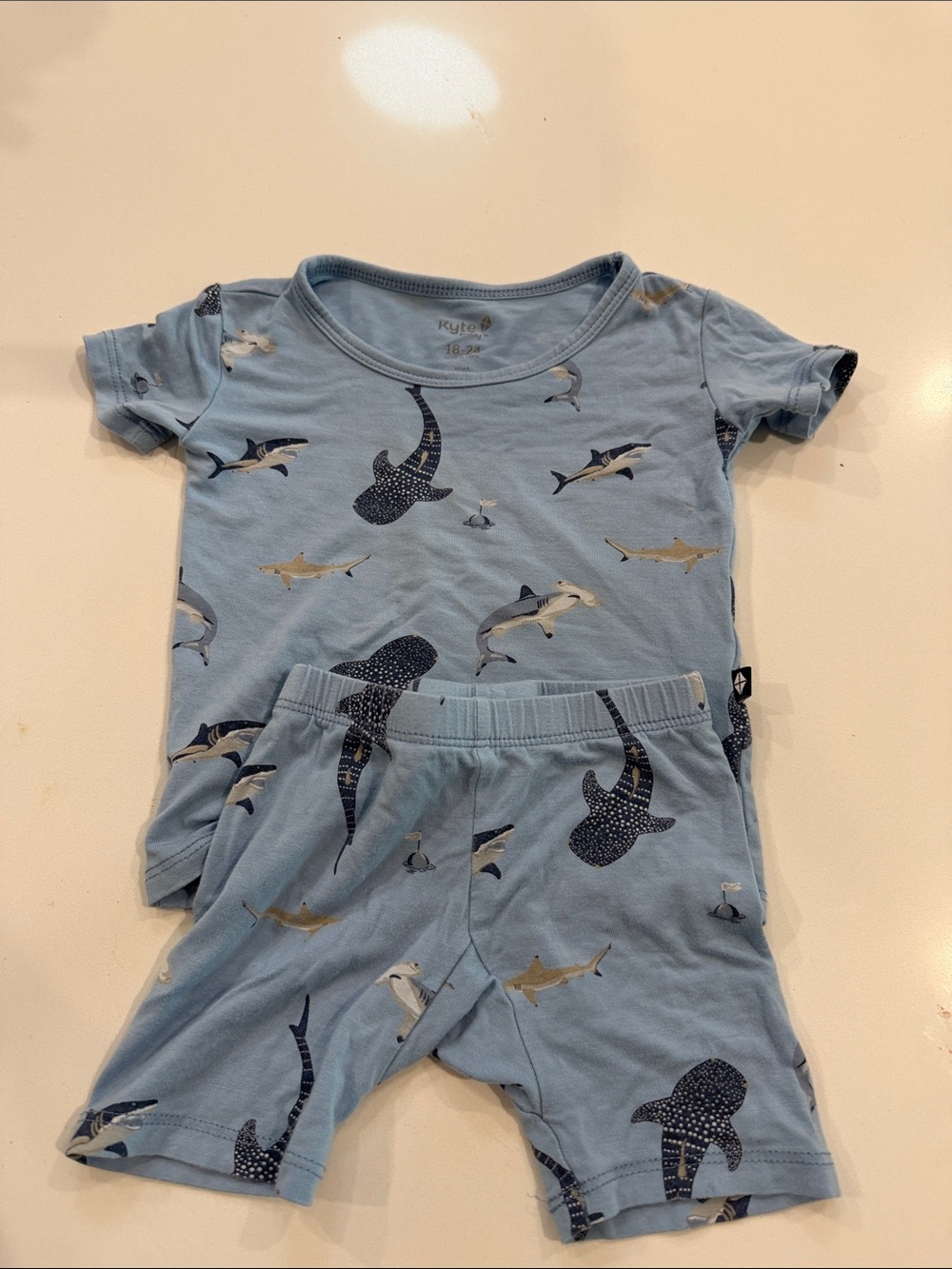 Kyte BABY Light Blue Shark & Ray Pajama Set